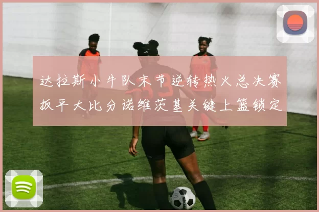 达拉斯小牛队末节逆转热火总决赛扳平大比分诺维茨基关键上篮锁定胜局